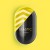 Yellow + black